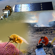 Image Collage of Landsat, pollinator, and volcanologist