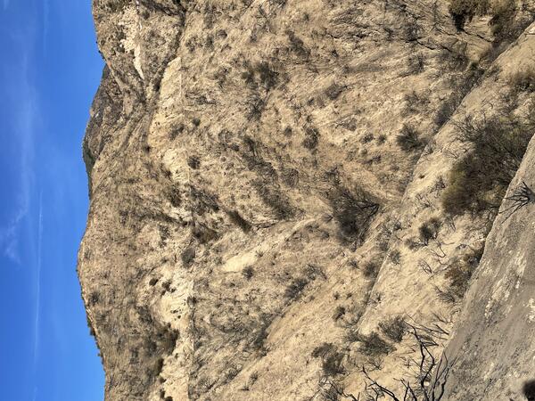 burned hillside with no ash and very sparse vegetation