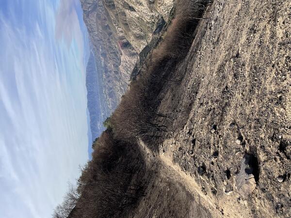 hillslope partially covered by burned vegetation