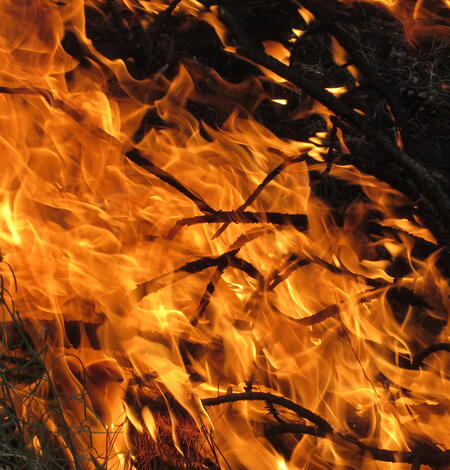 Flames consume woody fuels in a managed wildfire, New Mexico