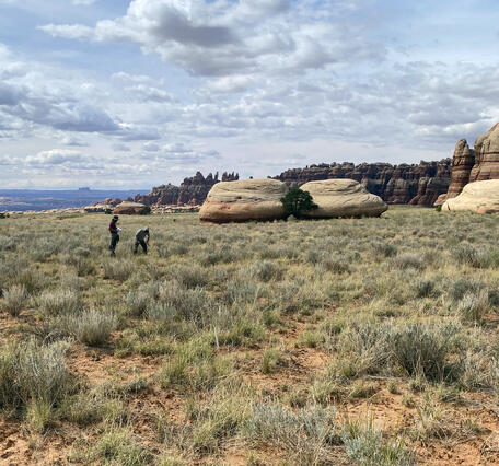 Researchers examine vegetation and soil in Canyonlands NP, with a backdrop of rock formations and a wide-open landscape