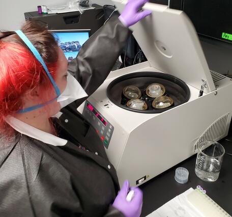 Scientist loads water samples into centrifuge in laboratory