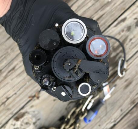 Top view of water quality sonde showing individual sensors