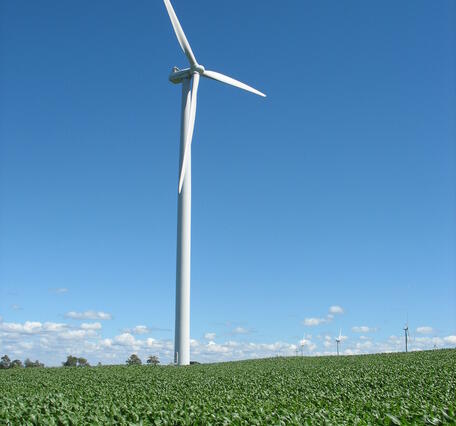 A lone wind turbine in a corn field in Wyoming.
