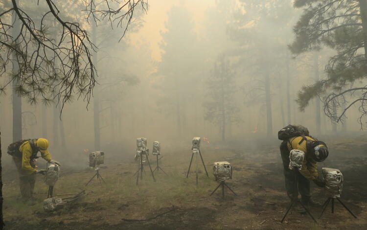 Fire monitoring during wildfires helps researchers understand the complex relationships.