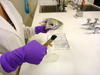 Preparing sediment for particle size analysis